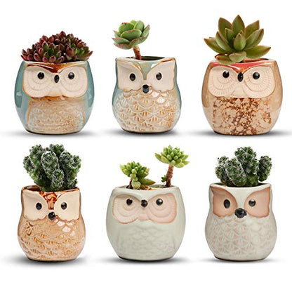 T4U Owl Succulent Pots, Mini Ceramic Gift Pots with Drainage, Retro 6 Pack - color: Owl, size: Pack of 6