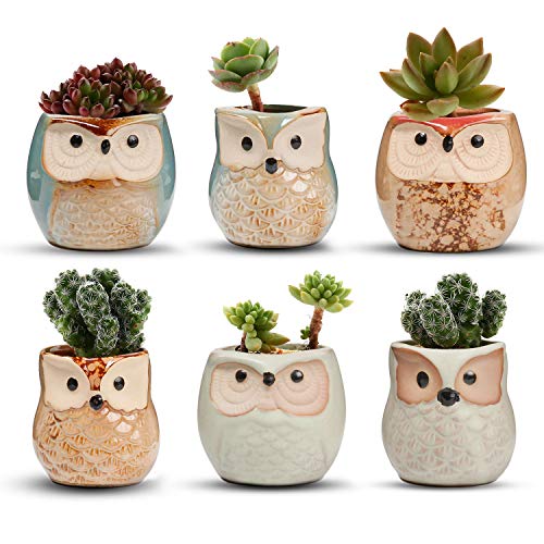 T4U Owl Succulent Pots, Mini Ceramic Gift Pots with Drainage, Retro 6 Pack - color: Owl, size: Pack of 6