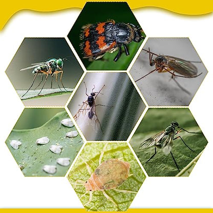 Qualirey 220 Pcs 7.9 x 4 Inch Yellow Sticky Traps for Plant Gnats Dual Sided Fruit Fly Sticky Traps for Indoors Outdoors with Twist Ties & Plastic Holders for Insect, Fungus Gnats, Whiteflies, Aphids - size: 7.9 x 4 Inch