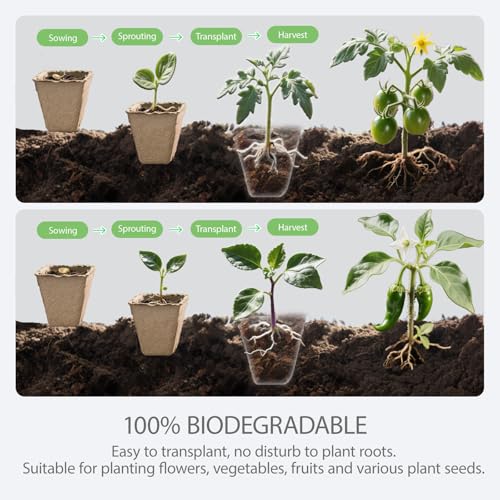 10-Pack Seed Starter Trays – Peat Pots for Seedlings, 120 Biodegradable Seed Starter Pots, Seed Starting Kit with 120 Plant Labels (Large) - size: Large