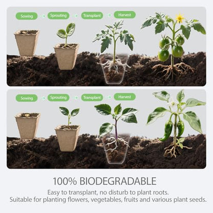 10-Pack Seed Starter Trays – Peat Pots for Seedlings, 120 Biodegradable Seed Starter Pots, Seed Starting Kit with 120 Plant Labels (Large) - size: Large