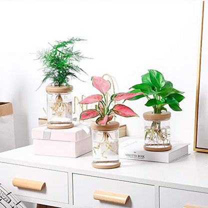 1pc, Hydroponics Plants Desktop Glass Planter Vase for Home Decoration, Plant Propagation Station Bud Vase, Desktop Hydroponics