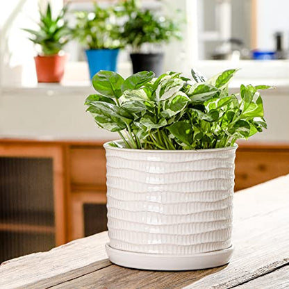 8 Inch Ceramic Planter with Drainage Hole & Bonded Saucer - color: Wave Embossed, size: 8 inch