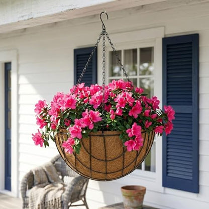 14 Inch Metal Hanging Basket with Coco Coir Liner for Flowers Planting - size: Mesh Structure 14" & 4 Pcs