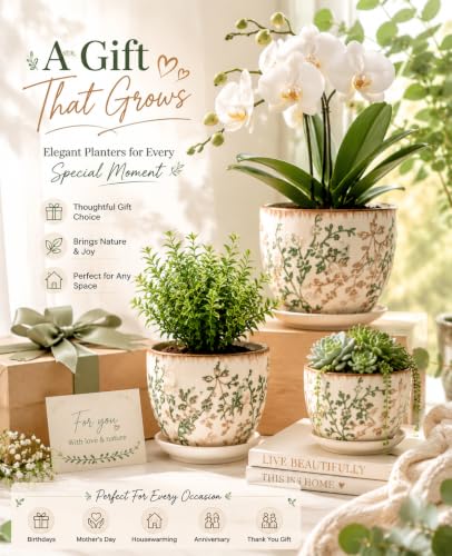 Ceramic Plant Pots, Vintage Succulent Pots, Plant Pots Indoor Set of 4, Planters with Drainage and Attached Saucer, 4.8 Inch Floral Flower Pots for Home Decor, Plant Lover Gifts - size: 4.8 inch, set of 4
