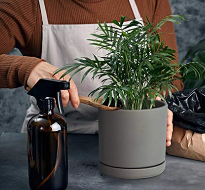D'vine Dev 2-Pack Ceramic Pots with Saucers, Grey, 6 in, 94-V-C-3 - color: Gray, size: 6 Inch
