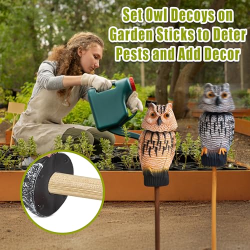 Owl Decoy to Scare Birds Away Scarecrow Fake Owl with Rotating Head (2 Pk) - color: Set B
