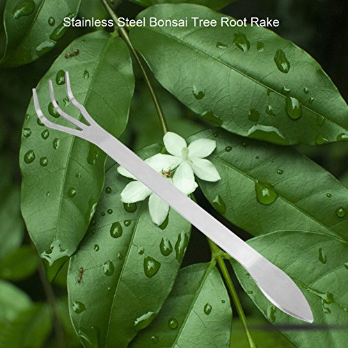 Stainless Steel Bonsai Rake, 3-Prong Loosen Soil Hand Tool, 9.45 inch