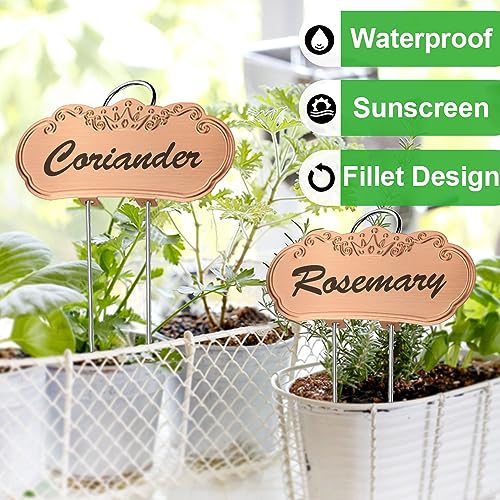 Metal Plant Labels, Waterproof Garden Signs 50 Pack Gold Plant Tags - color: Gold, size: 50 PACK SUS 304 Garden Labels