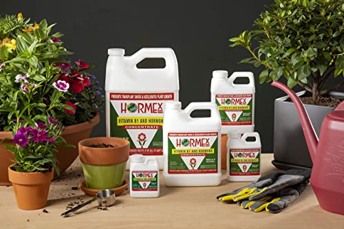 Hormex Liquid Rooting Hormone Concentrate & Root Stimulator with B1, 8 oz