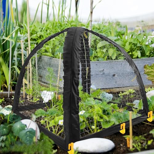 2PCS Pest Guard Cover-22 x 22 x 23 Inch Mesh Plant Cover for Pests-Garden Plants Cloche Tent for Protect Plants Vegetables Fruits Shrubs from Squirrel Animal Eating - color: S-2pcs