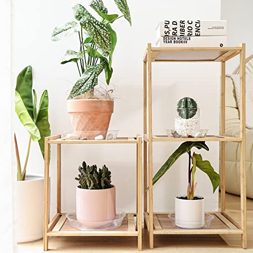 TRUEDAYS 20 Pack Plant Saucers (6 inch / 8inch / 10inch / 12inch) Clear Plant Saucers Flower Pot Tray Excellent for Indoor & Outdoor Plants - size: 6,8,10,12Inch