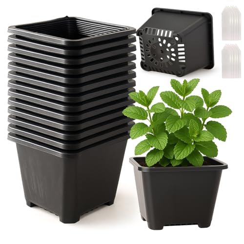 25 Packs Square Nursery Pots for Plants 3.5 Inch Seedling Pots with Holes - size: 3.5 Inch