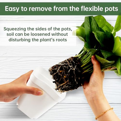 80 Pcs Nursery Pots 4 Inch, Plastic Seed Starting Pot with Drainage Holes, Small Sturdy Seedling pots for Planting, Succulents, Transplanting, Cuttings (White) - color: White, size: 4 Inch-80P