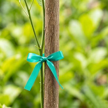 3 Rolls 150 Feet Stretch Tie Tape 0.5 Inch Garden Tie Tape Thick Plant Ribbon Garden Green Vinyl Stake for Indoor Outdoor Patio Plant Use