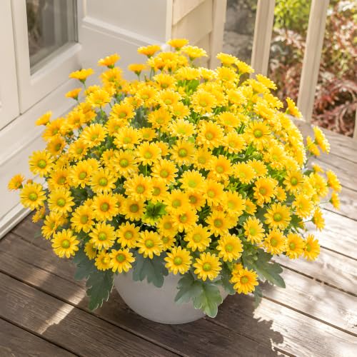 CLEANGOR 12 Pcs Daisy Artificial Flowers for Outdoors, Fake Mums (Yellow) - color: Yellow