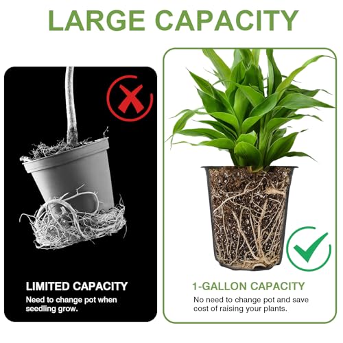 GroTheory 100 Pack 1 Gallon Nursery Pots, 6.7 Inch Plastic Pots for Plants