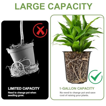 GroTheory 100 Pack 1 Gallon Nursery Pots, 6.7 Inch Plastic Pots for Plants