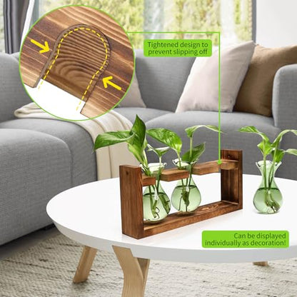 Plant Propagation Station Plant Terrarium Unique Birthday Gifts for Women - color: Green