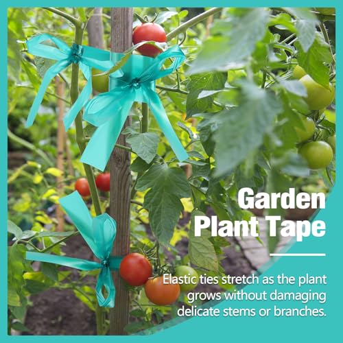 300FT Stretch Tie Tape Roll, 1'' Plant Tape Green Stretch Garden Tie - size: 1in/300ft