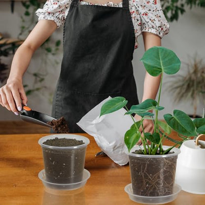 20 Pack 6 Inch Clear Nursery Pots with Drainage and 20 Pack Plant Saucers, 0.5 Gallon Plant Pots for Plants Potting Containers Half Gallon Plants Seeding Starter Pot (Clear, 6 Inch) - color: Clear, size: 6 Inch