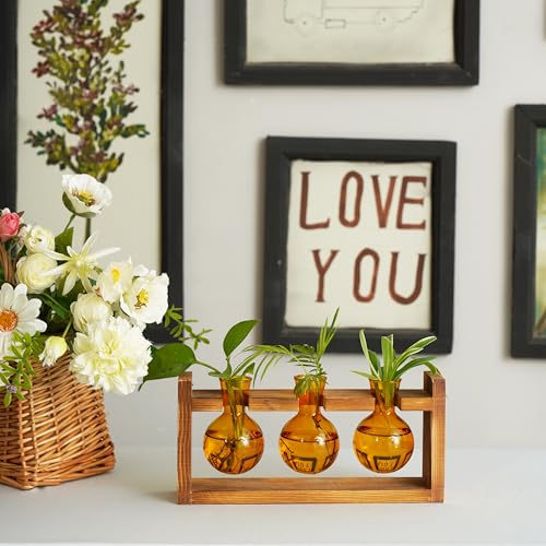 Kingbuy Glass Plant Terrarium Propagation Station - 3 Bulb Colored Vases with Retro Wood Stand Indoor Garden Planter - Wall Mount Desktop Decor for Home Kitchen Wedding, Plant Lover Gift, Amber - color: Amber