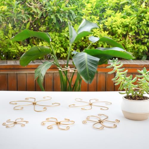 5Pcs Monstera Plant Stem Support Hook-2.75x2.75in Plant Stem Holder - size: 2.75 x 2.75 inches