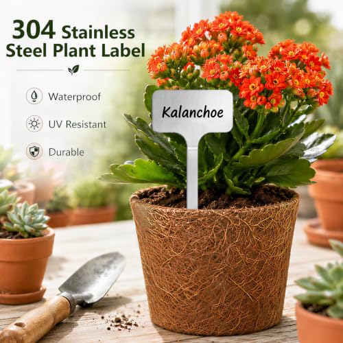 30 Pack Waterproof 304 Stainless Steel Plant Labels, 10 Large and 20 Small