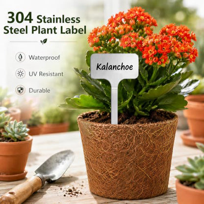 30 Pack Waterproof 304 Stainless Steel Plant Labels, 10 Large and 20 Small
