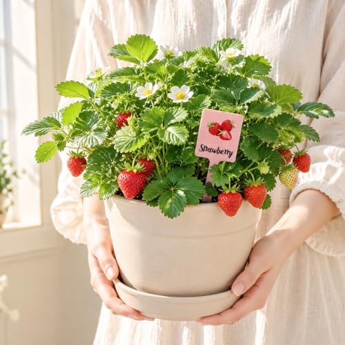 15Pcs Waterproof Acrylic Plant Labels
