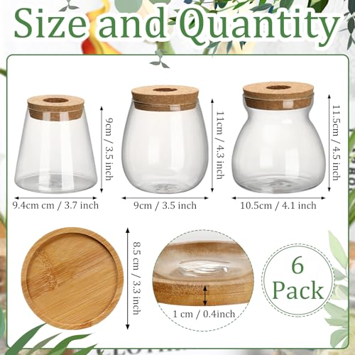 6 Pcs Glass Plant Propagation Station with Wood Lid & Stand, Novel Style - style: Novel Style