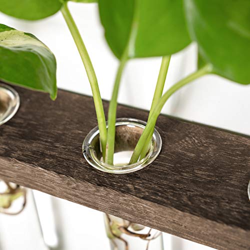 Mkono Plant Propagation Station, 3 Tier Brown Wall Hanging Vase Test Tubes - color: Brown, size: Medium