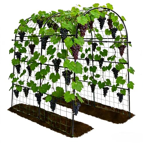 Garden Arch Trellis for Climbing Plants Outdoor - 83" H*71" W*43" L (Black) - color: black, size: 71"×44"×83"