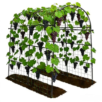 Garden Arch Trellis for Climbing Plants Outdoor - 83" H*71" W*43" L (Black) - size: 71"×44"×83"-B