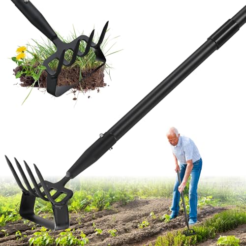 Garden Hoe,2 in 1 Heavy Duty Stirrup Hoe and Cultivator Gardening Tool Set with 62 inch Long Handle,Lightweight Hoes Weeding Rake for Fast Weeds Grass Removal,Cultivating, Loosen Soil, Sharp Edge - size: 62"