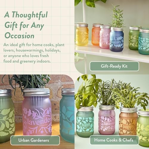 Modern Sprout Mason Garden Jar - Self-Watering Hydroponics Growing Kit-3Pk - color: Poppy + Rosemary + Mint