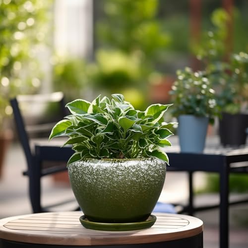 Ceramicfor 6 Inch Plant Pot - Ceramic Planter Pot with Drainage Hole and Saucer, Glaze Succulent Pot Modern Round Flower Pot for Indoor Plants, Dark Green - color: Dark Green, size: 6 Inch