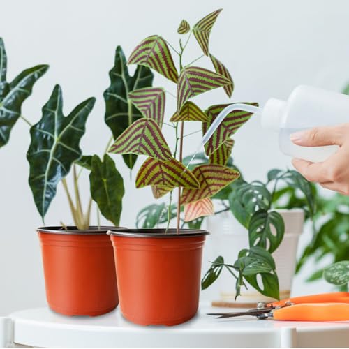 Baaxxango 100 Pcs Plant Nursery Pots,6 Inch Thicker Plastic Seedling Pots with Holes,Seed Starting Pot Flower Plant Container for Succulents,Seedlings,Cuttings,Transplanting - size: 100 Pcs 6 Inch