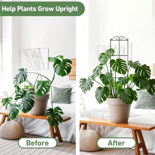 31.8'' Stackable Plant Trellis Indoor, Metal Trellis for Climbing Plants Indoor, House Plant Support with Soft Ties for Monstera Hoya Pothos, 4P - size: 31.8in/4p