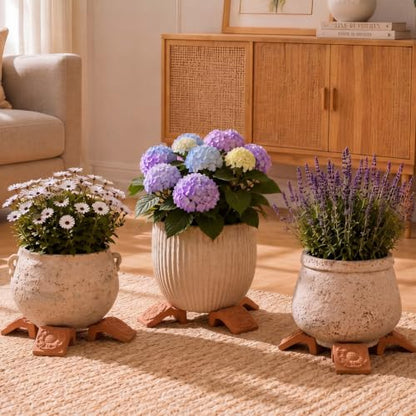 LemonRoad 12 Set Terra Cotta Cement Pot Feet for Outdoor Planters, Flower - style: Flower