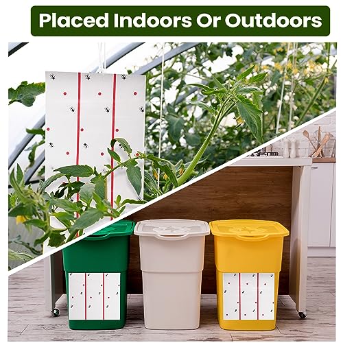 Qualirey 2 Pcs Giant Flypaper Fly Traps, 295ft Sticky Fluorescent Green - color: White