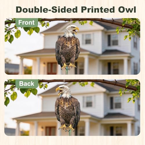 Fake Eagle to Keep Pigeon Woodpecker Away, 2 Pack Flat Cardboard Fake Eagle with Reflective Tape to Scare Animals Away for Outdoor Garden Balcony Window Patio Backyard - color: 2pcs-eagle