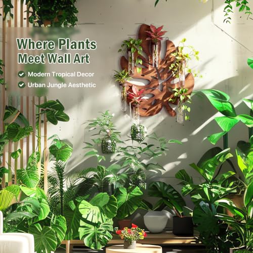 Plant Propagation Station, Monstera Hanging Wall Planter with 6 Glass Tubes - size: 1 Pack
