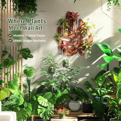 Plant Propagation Station, Monstera Hanging Wall Planter with 6 Glass Tubes - size: 1 Pack