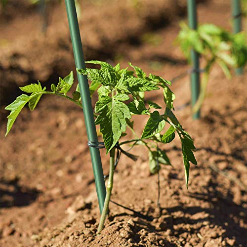 Garden Stakes 5/16" Dia, 5 FT FRP Plant Supporting Stakes for Climbing Tomato Cucumber Strawberry Bean Tree, Pack of 20, Dark Green - size: 5/16"Dia x 5Ft Height(20 packs)