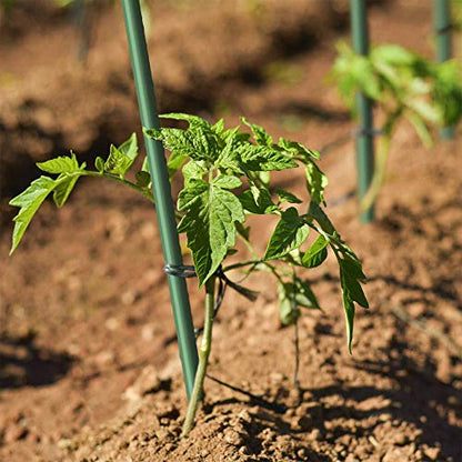 Garden Stakes 5/16" Dia, 5 FT FRP Plant Supporting Stakes for Climbing Tomato Cucumber Strawberry Bean Tree, Pack of 20, Dark Green - size: 5/16"Dia x 5Ft Height(20 packs)