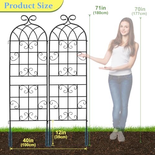 YOBAZAN Metal Garden Trellis 71"x40", Plant Support Trellis - style: 2 Pack