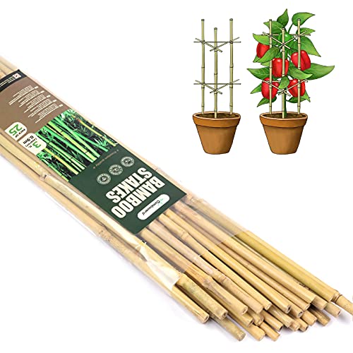 Cambaverd Bamboo Garden Stakes 3 Feet, 25 Pack Bamboo Sticks for Plants - size: 3 FT-25 PACK
