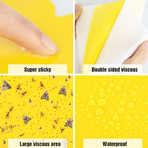 60 Pack Yellow Sticky Traps for Gnats, Fruit Fly Traps for Indoors Plants - size: 60Packs