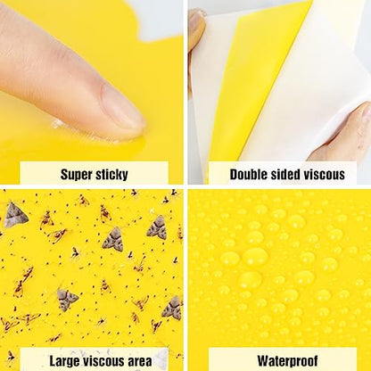 60 Pack Yellow Sticky Traps for Gnats, Fruit Fly Traps for Indoors Plants - size: 60Packs